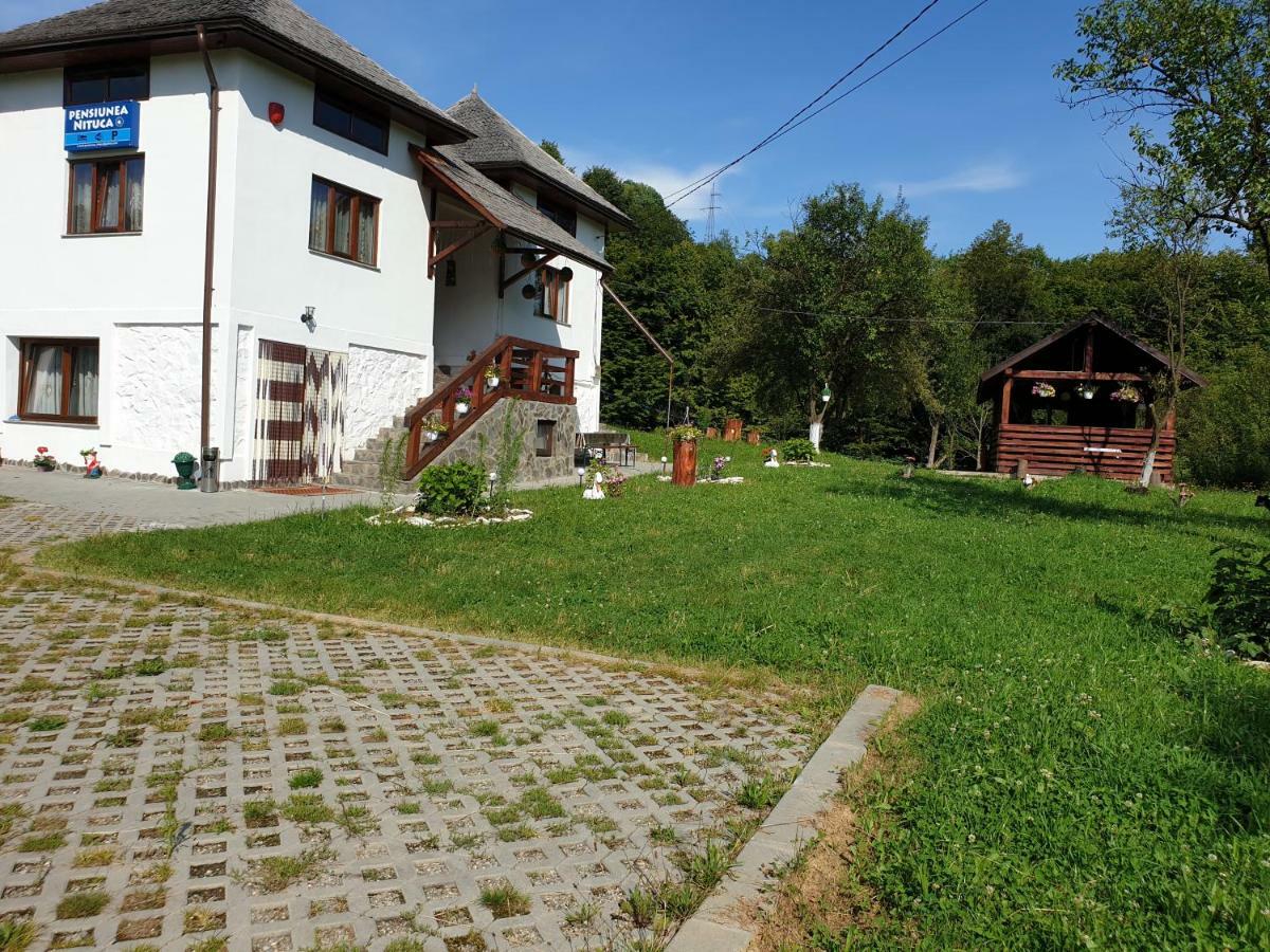 Pensiunea Nituca Moisei Zewnętrze zdjęcie